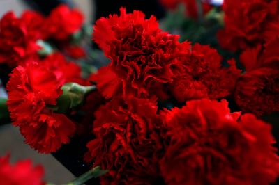 Los tradicionales claveles rojos fueron entregados a las y los asistentes a esta cita con la memoria.